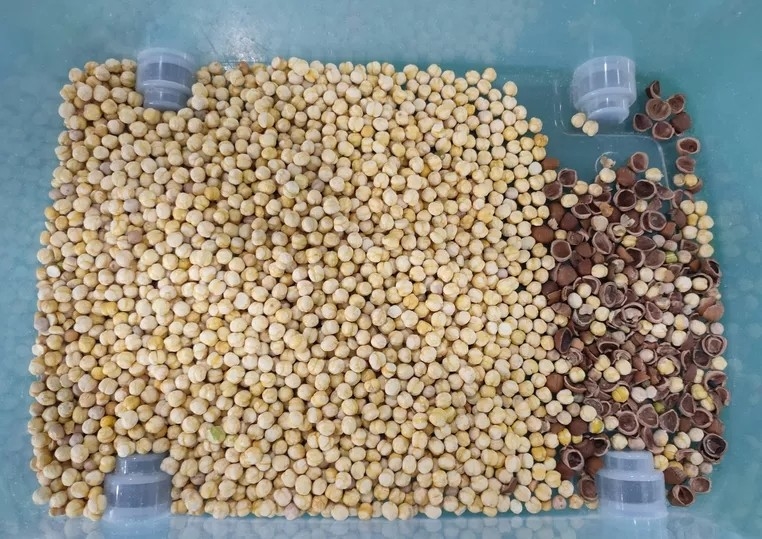 حبوب الأرز بذور الشاي البلاستيك آلة فارز لون الزجاج