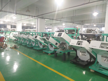 RGB Camera CCD Beans Color Sorter 10 Chutes 640 Channels