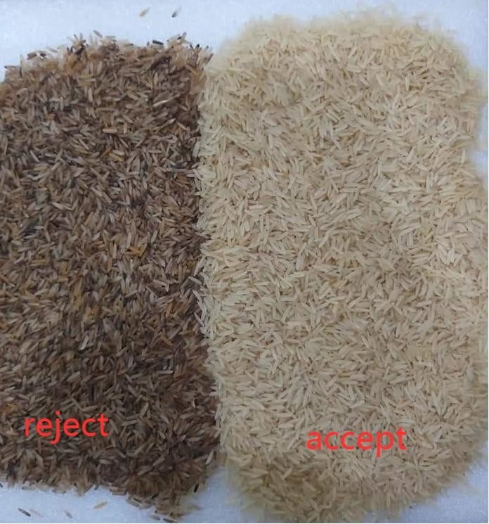 WENYAO مسلوق Japonica Sorghum Rice Colour Sorter 8 Chutes