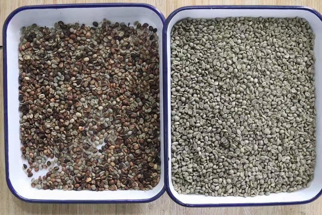 بصري RGB CCD Kidney Bean Mung Bean Sorting Machine 1 Chutes