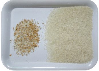 WENYAO 8 Chutes Rice Grain Color Sorter Machine متعددة الأغراض