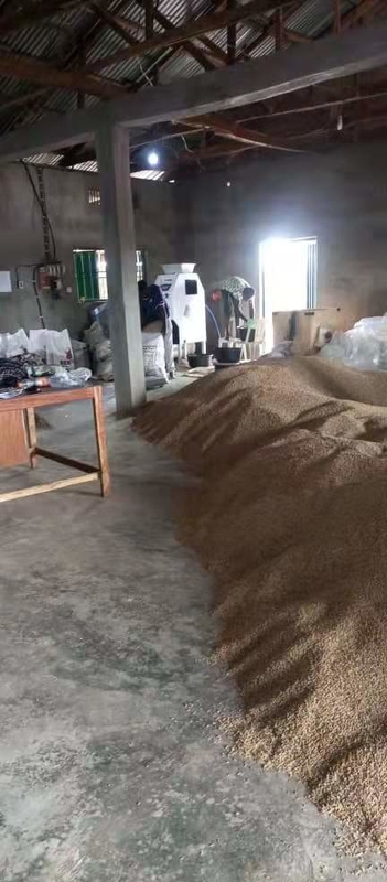 فارز اللون البصري الرقمي المصغر 99.99٪ دقة الفرز