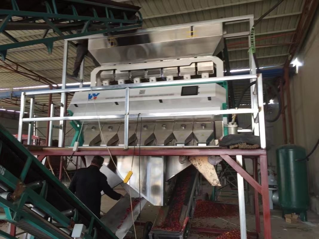 WENYAO مسلوق Japonica Sorghum Rice Colour Sorter 8 Chutes