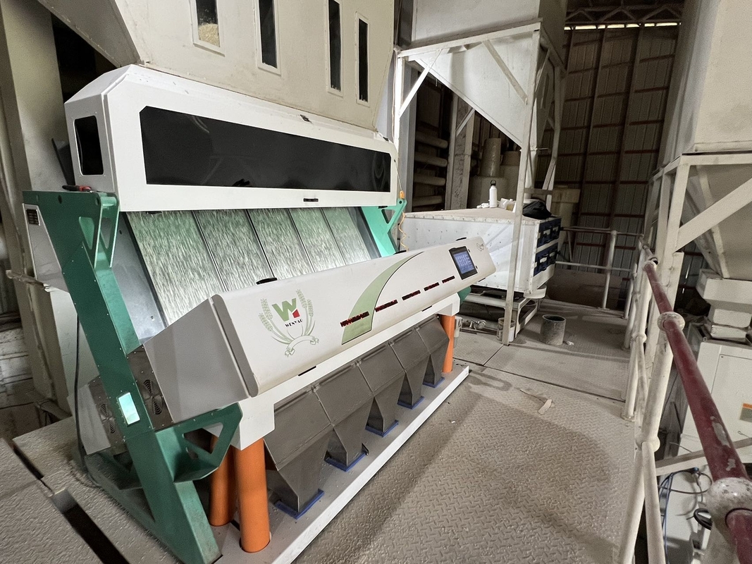 WENYAO مسلوق Japonica Sorghum Rice Colour Sorter 8 Chutes