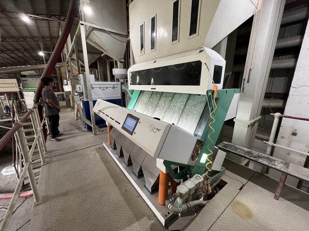 WENYAO مسلوق Japonica Sorghum Rice Colour Sorter 8 Chutes