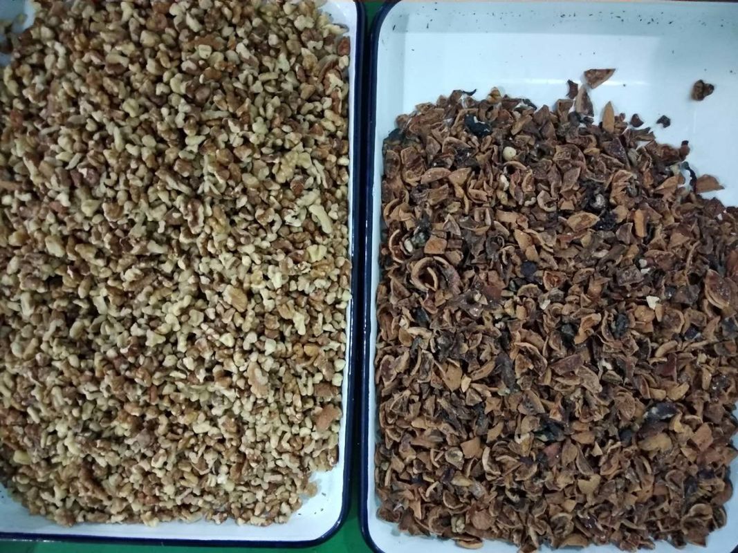 آلة فرز ألوان صغيرة مدمجة متوافقة مع البشر للبندق واللوز والفستق