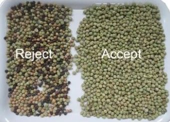 فاصل ألوان عالي الدقة من وينياو للحبوب والبذور والذرة والشاي والمكسرات، واي فاي للتحكم عن بعد