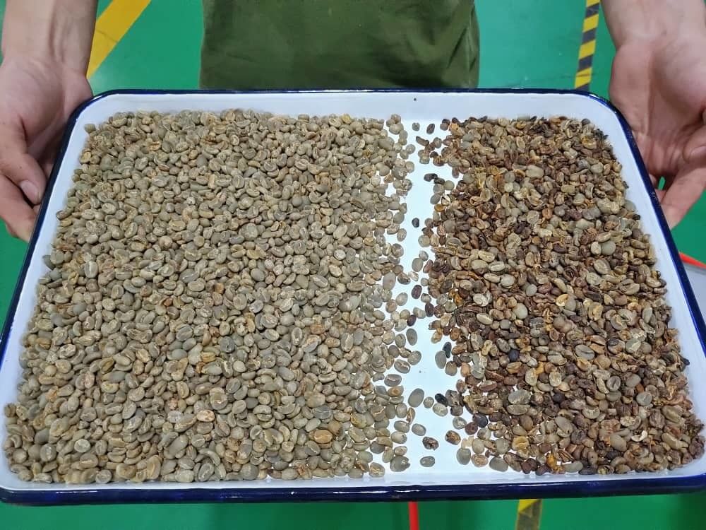 فاصل ألوان عالي الدقة من وينياو للحبوب والبذور والذرة والشاي والمكسرات، واي فاي للتحكم عن بعد