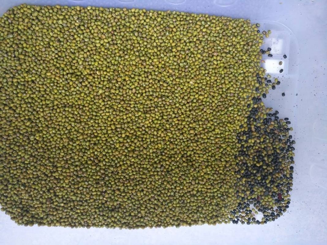 الذرة الجوز والحمص الفول السوداني الزيتون اللون فاصل آلة فرز لون الجوز المحمص الهيل