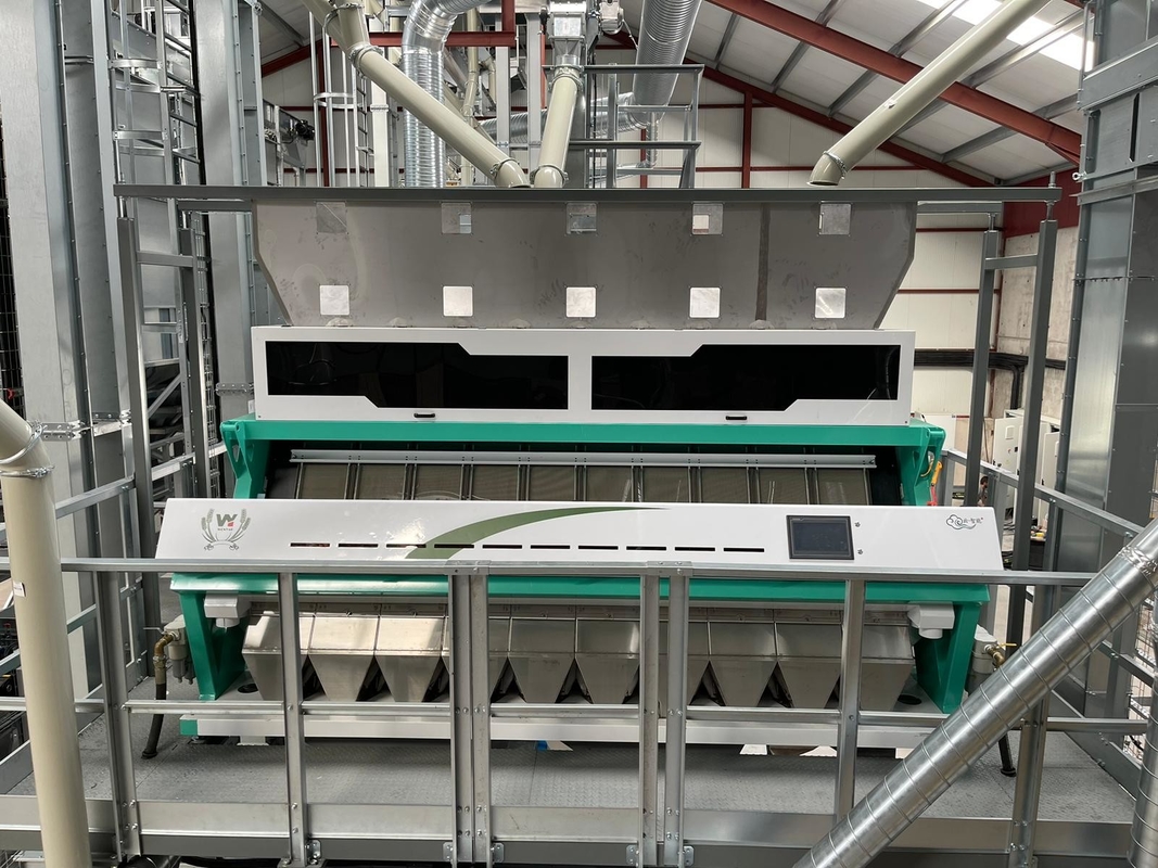 CCD Camera 10 Tons Rice Color Sorter Machine آلة فرز الأرز مع تقنية AI