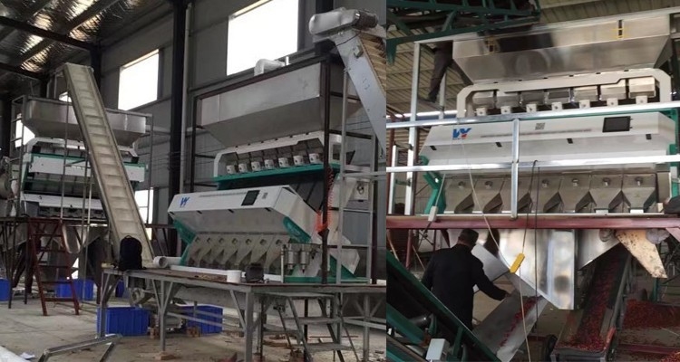 Wenyao 1 Chutes Rice Color Sorter ذكي CCD Color Sorting Machine Multifunction RGB Optical Sorter