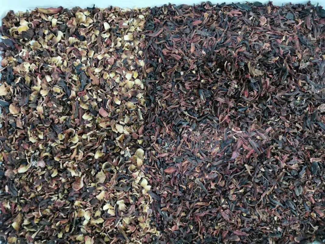 وينيو 3 قنوات 192 قناة سعة عالية Medicago Ruthenica بذور آلة فرز الألوان بذور عباد الشمس آلة فرز الألوان