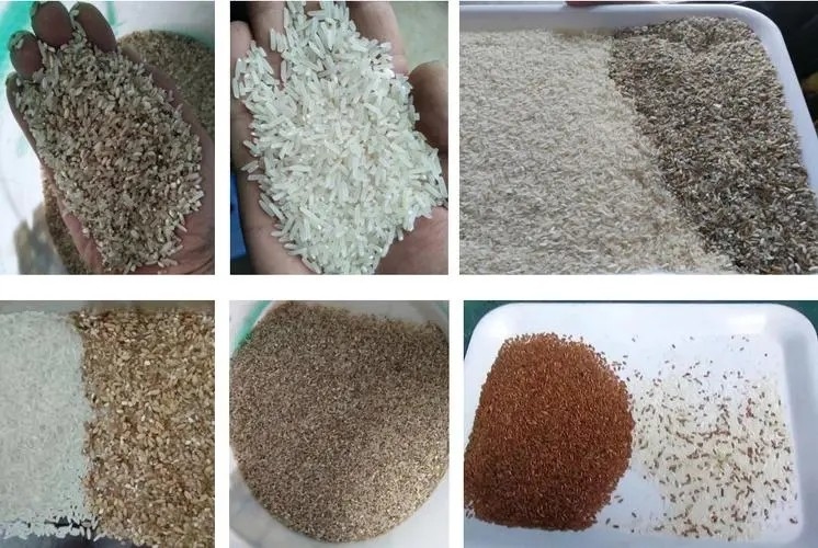 آلة تصنيف ألوان الأرز ذكي متعدد الوظائف عالية الجودة مع تحكم الذكاء الاصطناعي من الصين
