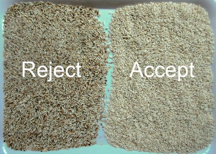 WENYAO أجهزة التشغيل المستقر التنظيف الذاتي لمصانع فرز الحبوب