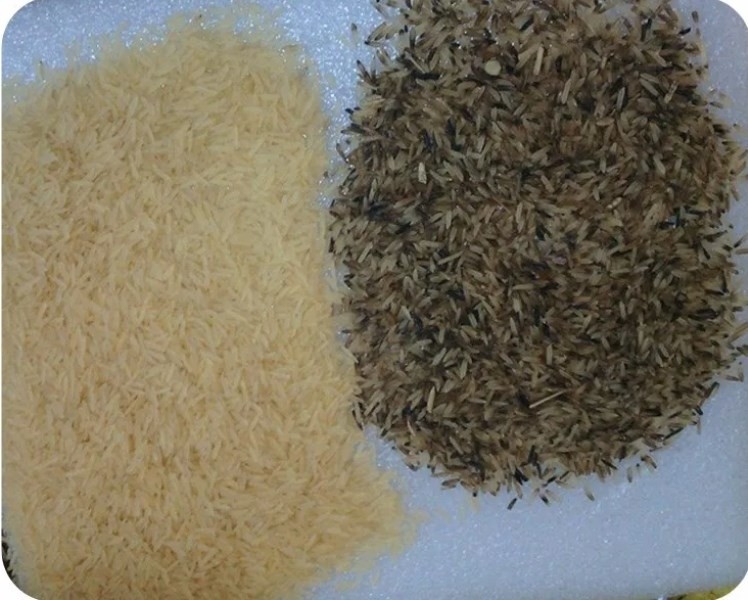 1 - 4 طن/ساعة آلة تصنيف لون الحبوب أعلى كفاءة تصنيف
