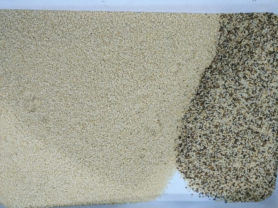 1 - 4 طن/ساعة آلة تصنيف لون الحبوب أعلى كفاءة تصنيف