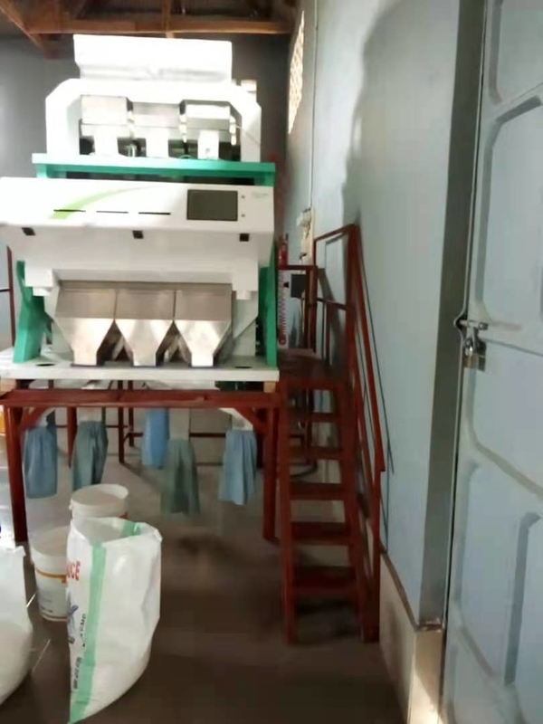 وينياو دودة الخبز لون تصنيف دودة الطعام آلة تصنيف
