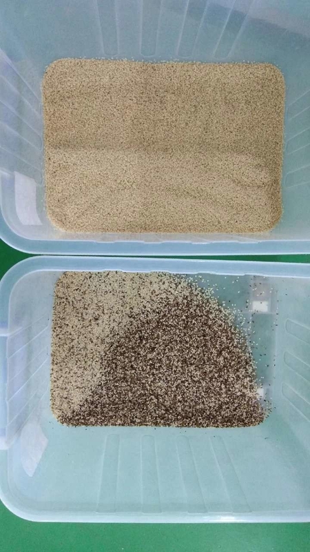 وينيو 500-1500 كجم / ساعة حبوب القهوة الأرز غارين لون تصنيف بصري حبوب لون تصنيف آلة