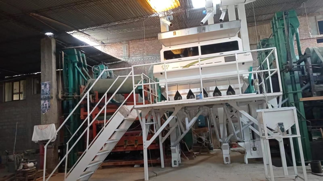 كاميرا Wenyao الذكية CCD طراز المكافئ لون طراز القمح آلة تصنيف لون