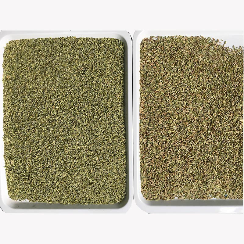 WENYAO 300-500 كجم آلة اختيار البذور طرق البصل البذور الرقمية البصرية آلة تصنيف الألوان المصغرة