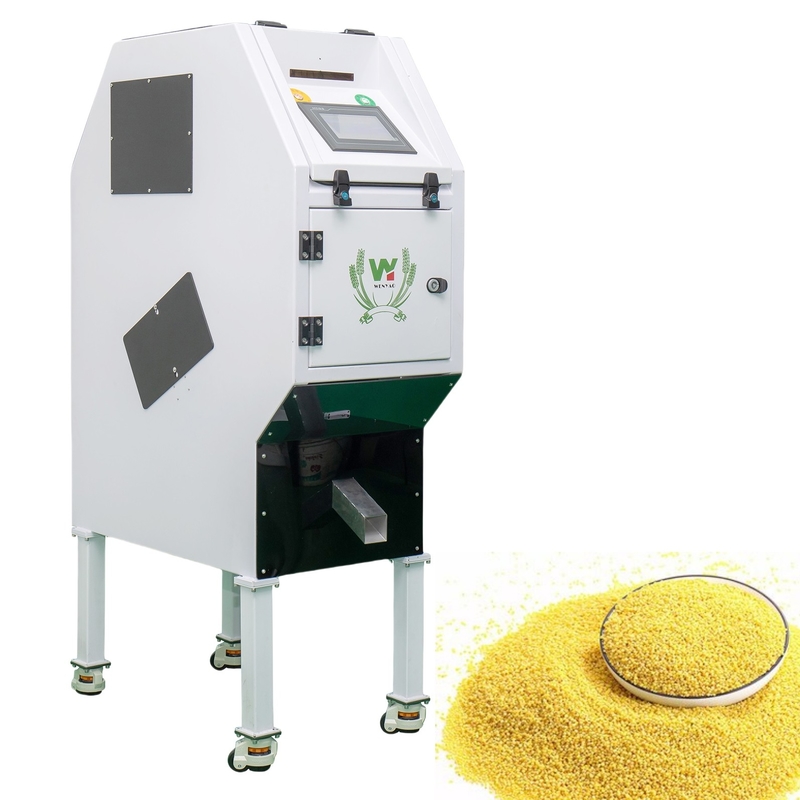 وينيو 50-500kg/H أحدث أفضل نظام ويندوز ذكي الحبوب البصرية الأرز القمح البلاستيك الجوز حبوب القهوة طراز اللون آلة فرز البذور طراز اللون