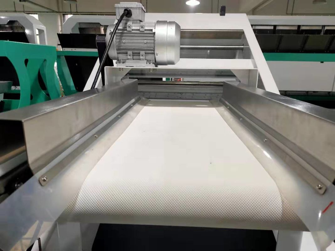 آلة تصنيف ألوان التوت الأزرق مصفف ألوان الحزام المصغّر للفواكه الطازجة