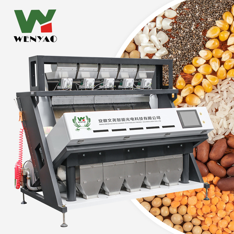 الأرز / الحبوب / الحبوب / البذور / الفول طراز اللون