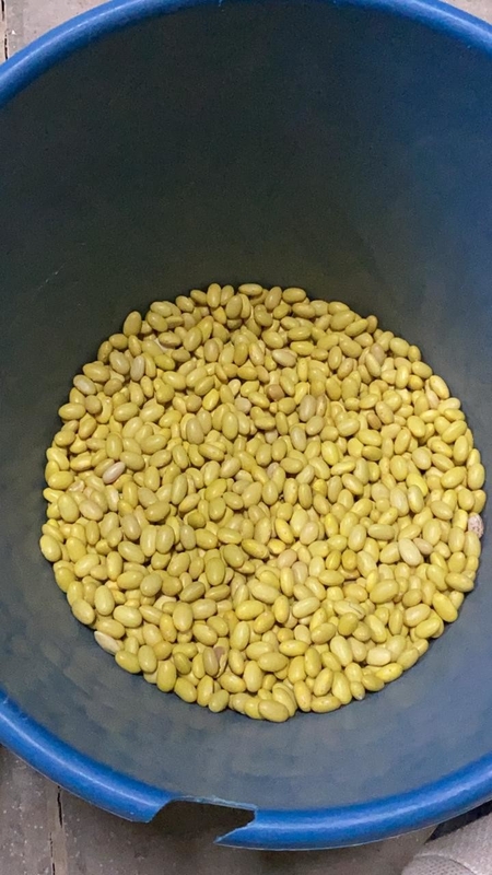 (ويانيو) مصنع صيني بيع مباشر (ماكينة تصنيف لون فول الصويا