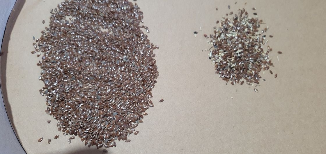 وينيو 2025 بيع الساخن بذور تصنيف كامل أوتوماتيكي بذور الشيا بذور الكتان آلة تصنيف لون