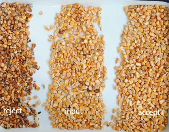 آلة فرز الألوان البصري للذرة والذرة الرفيعة والشيلم والكي Quinoa آلة فرز الألوان فرز الألوان عبر الإنترنت الشركة المصنعة