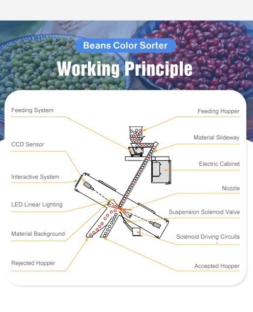 تصنيع الحبوب ريز تصنيف اللون النوع المنحدر البصري