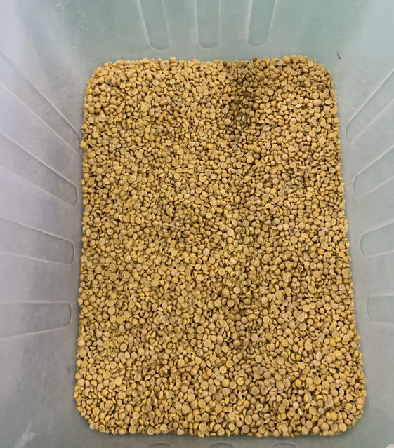 آلة فرز الألوان الأوتوماتيكية بالكامل من وينياو بثلاثة مسارات لفول الصويا وفول الكلى العريض