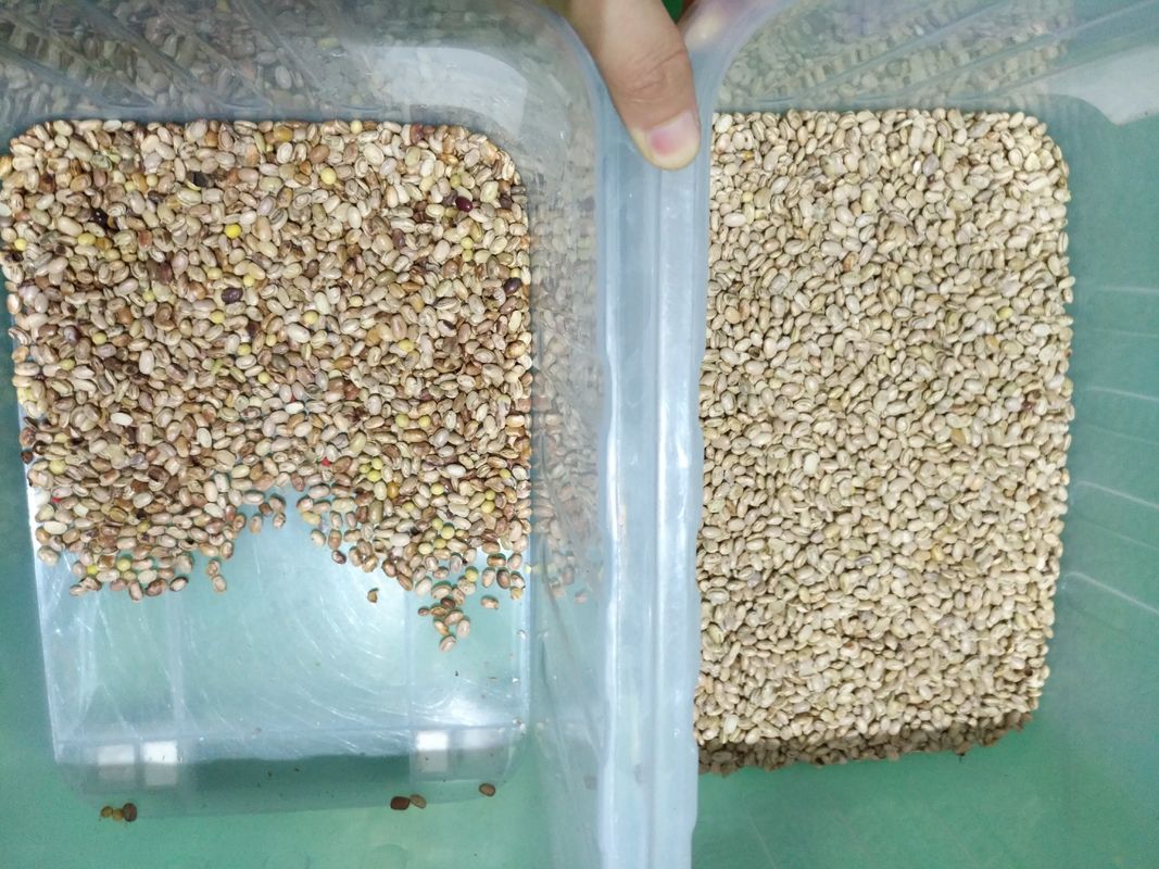 آلة تصنيف عالية الأداء من نوع Wenyao الكلى الفاصوليا البرازيل الفاصوليا آلة تصنيف اللون