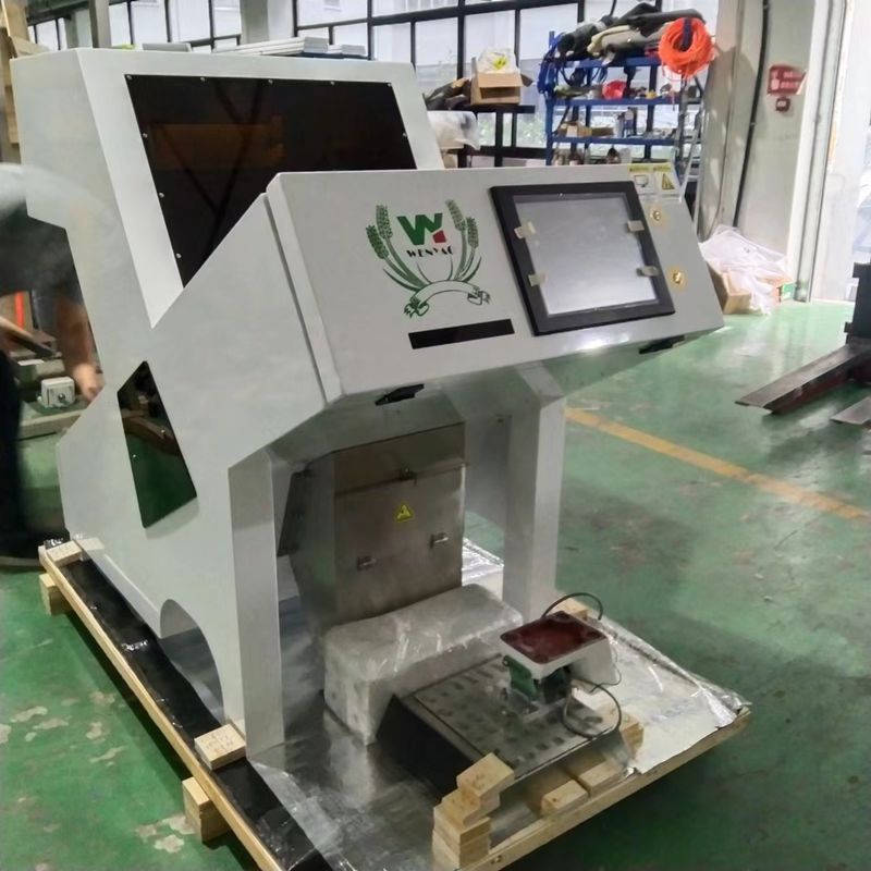 آلة فرز الألوان البصرية WENYAO 1 Chute لفرز ألوان الكستناء المجففة والمجففة