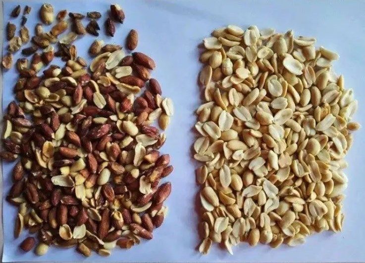 Wenyao Nut Processing Equipment فارز اللون مع ضوء LED لكاميرا CCD