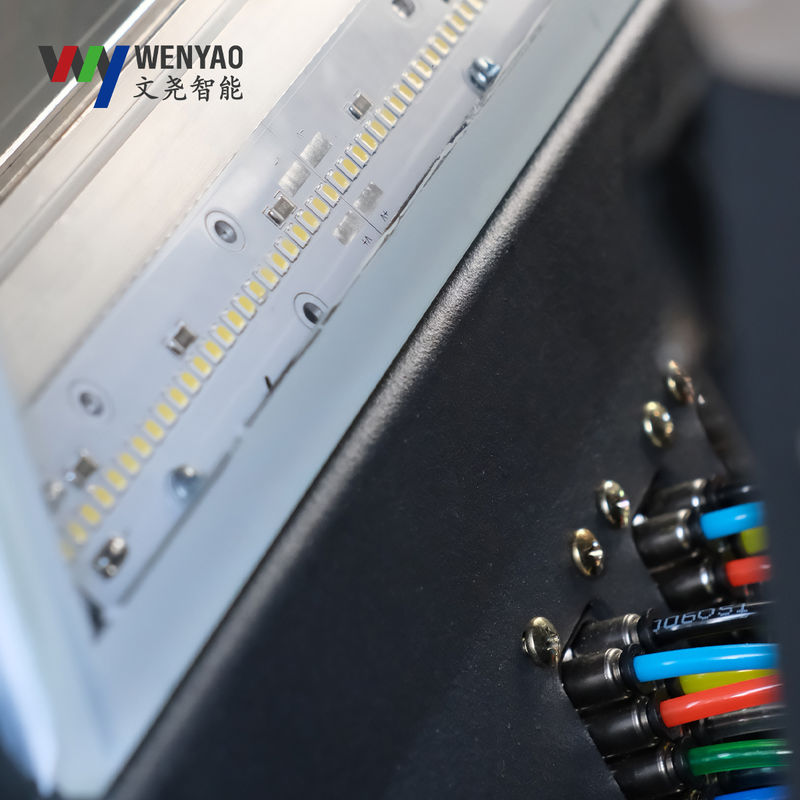 Wenyao Mini WYB2 Color Sorter for Coffee Cherry Blueberry Strawberry