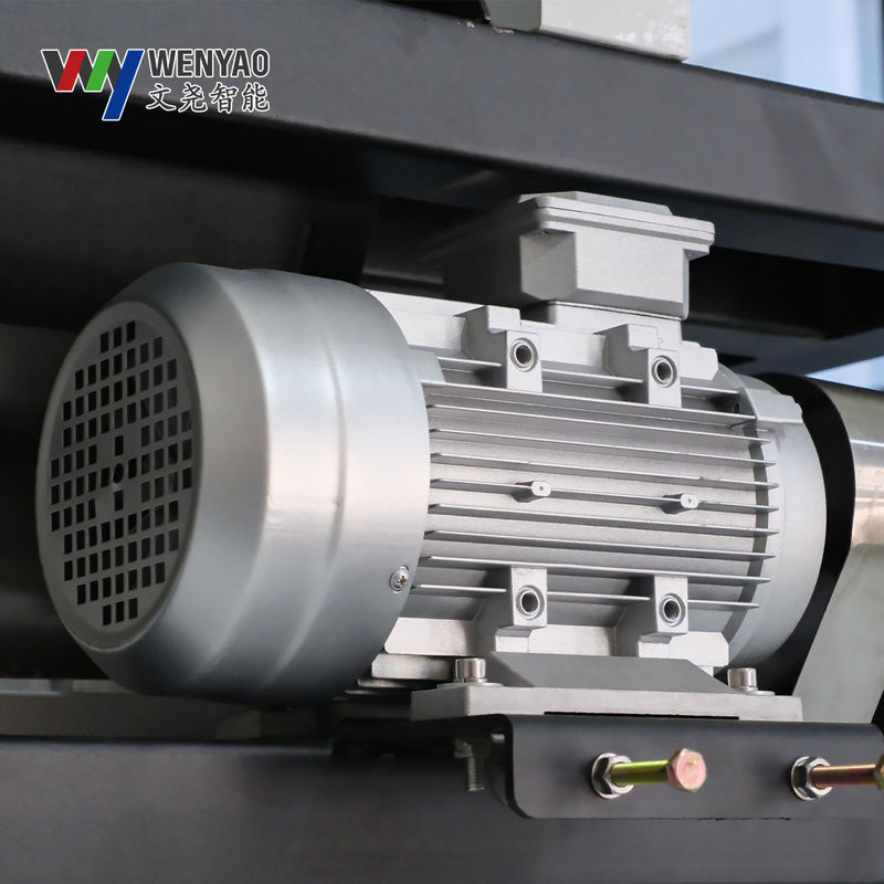 Kidney Nuts Belt Color Sorter with Low Damage Rate