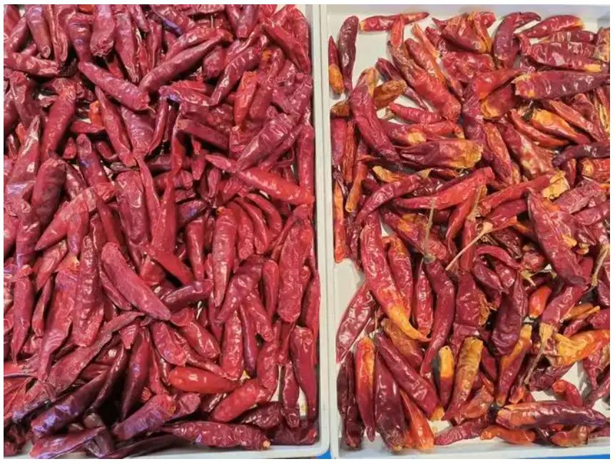 سعر جيد بصري بصري ذكي آلة تصنيف الفلفل المعدني الفحم الوقود تصنيف اللون