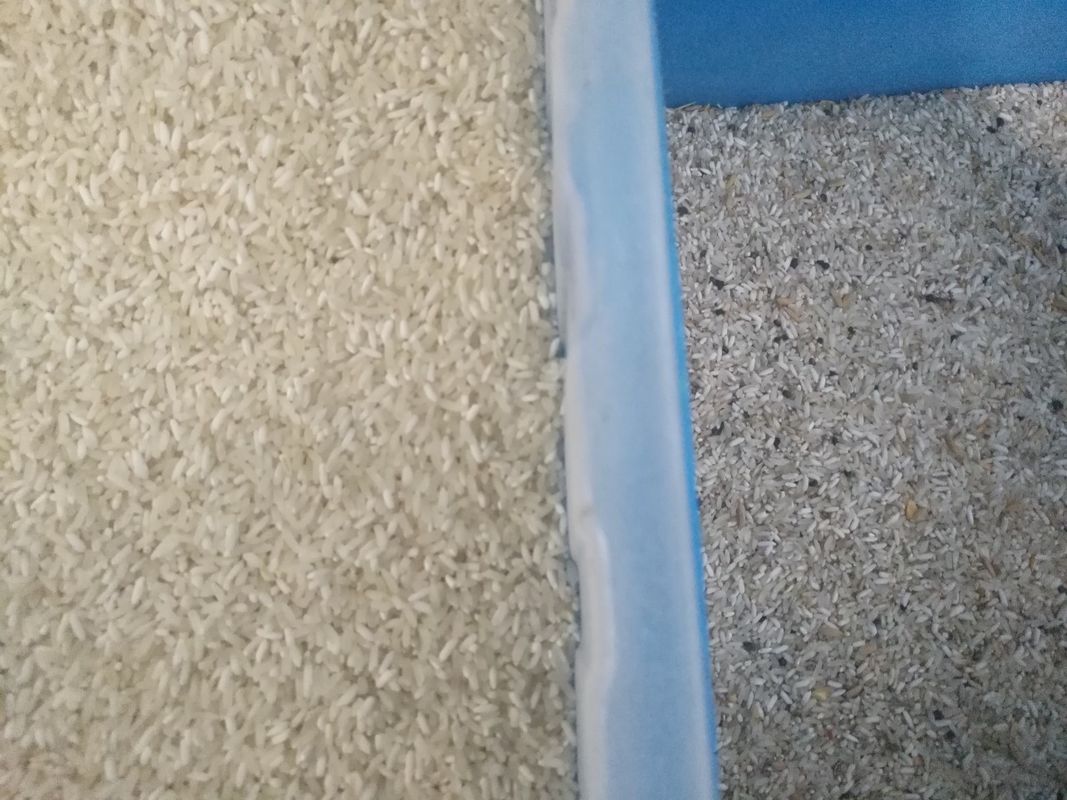 متعددة الأغراض CCD التلقائي لون الأرز فارز الحبوب آلة الفرز AI