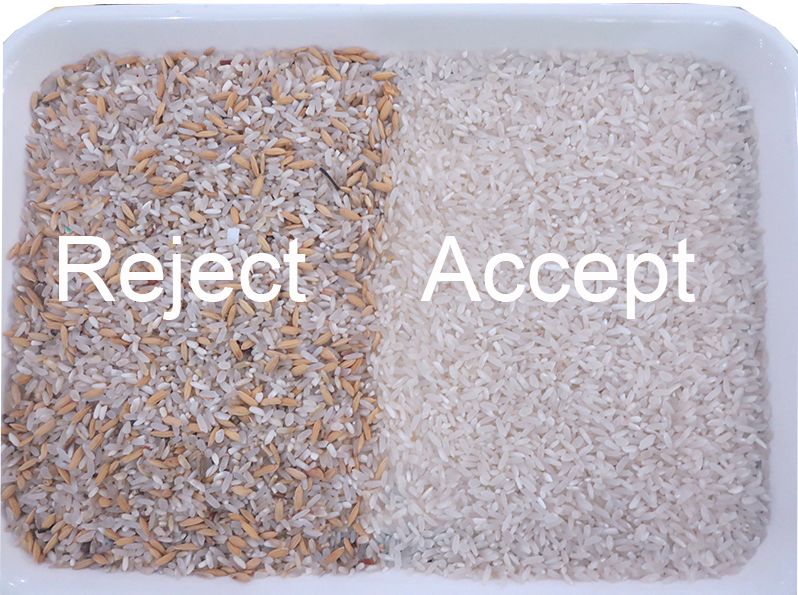 متعددة الأغراض CCD التلقائي لون الأرز فارز الحبوب آلة الفرز AI