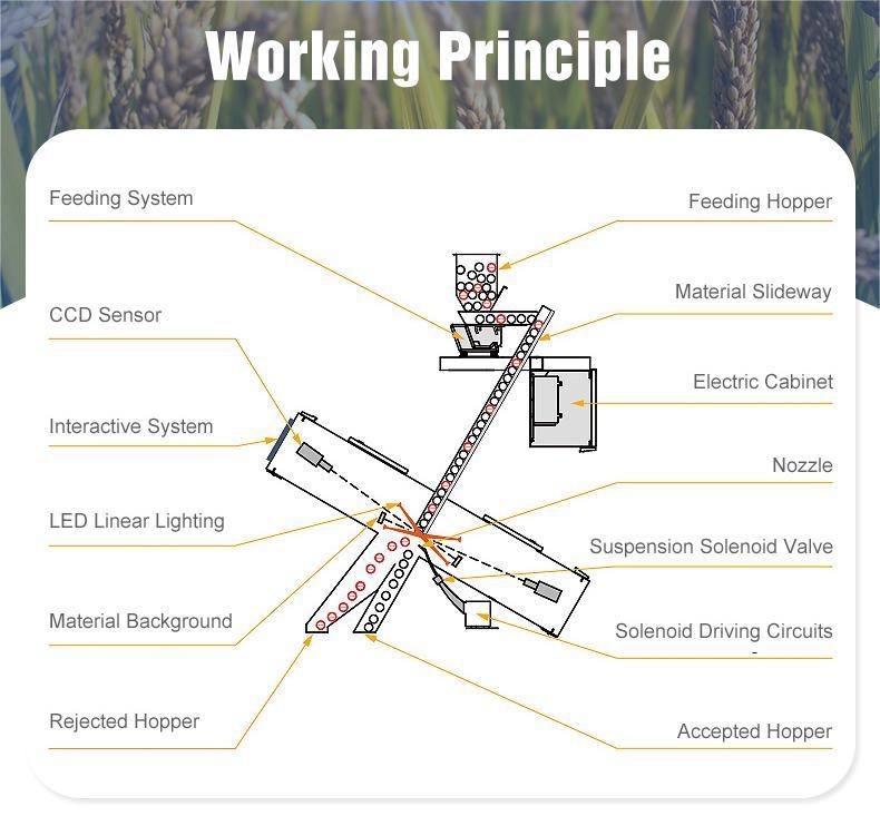آلة فرز الألوان لرقائق البلاستيك من نوع PP PVC PET PP LED CCD البصرية وينياو، شائعة في تايلاند
