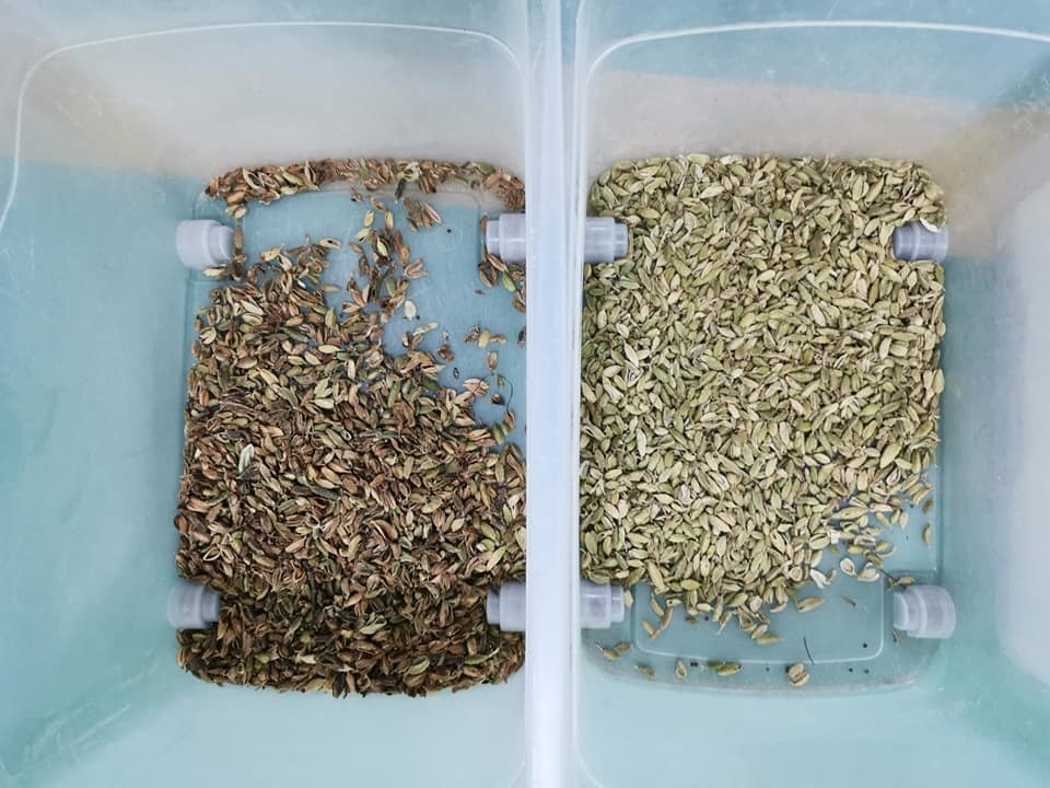 Multi-Purpose Automatic Color Sorter with 99.99% Precision for Herbs and Grains