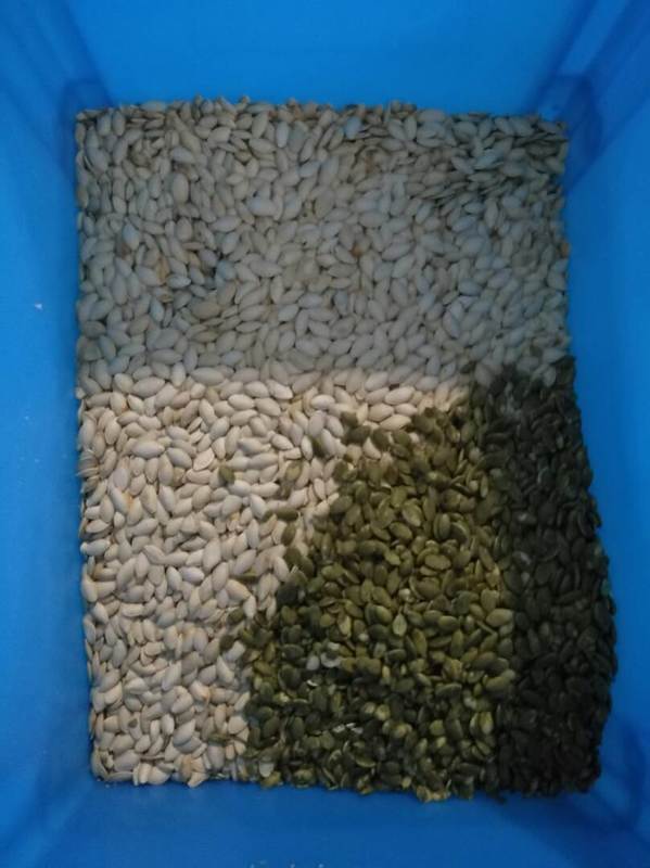 جهاز تحكم عن بعد لـ (ويانيو واي فاي) بذور عباد الشمس وذور اليقطين مع ضمان لمدة عامين و صمام الكهربائي للتجهيز الصناعي