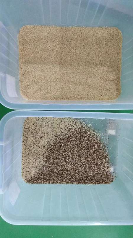 WENYAO CCD Grain Sorting Machine for Wheat White Sesame Soybean Black Sesame Corn Optical Color Sorter