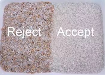 آلة تصنيف الألوان البصرية للفول السوداني اللوز والمكسرات آلة تصنيف الألوان الذكية بدقة عالية