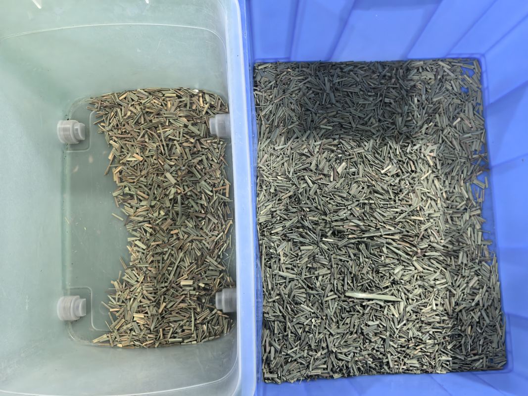 وينيو سي سي دي تصنيف لون التوابل آلة تصنيف لون الليمونغراس البصرية مع سعر المصنع