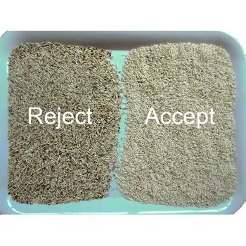 آلة فرز الألوان للجوز والفول السوداني واللوز والفول السوداني آلة فصل إزالة السيئ المتعفن