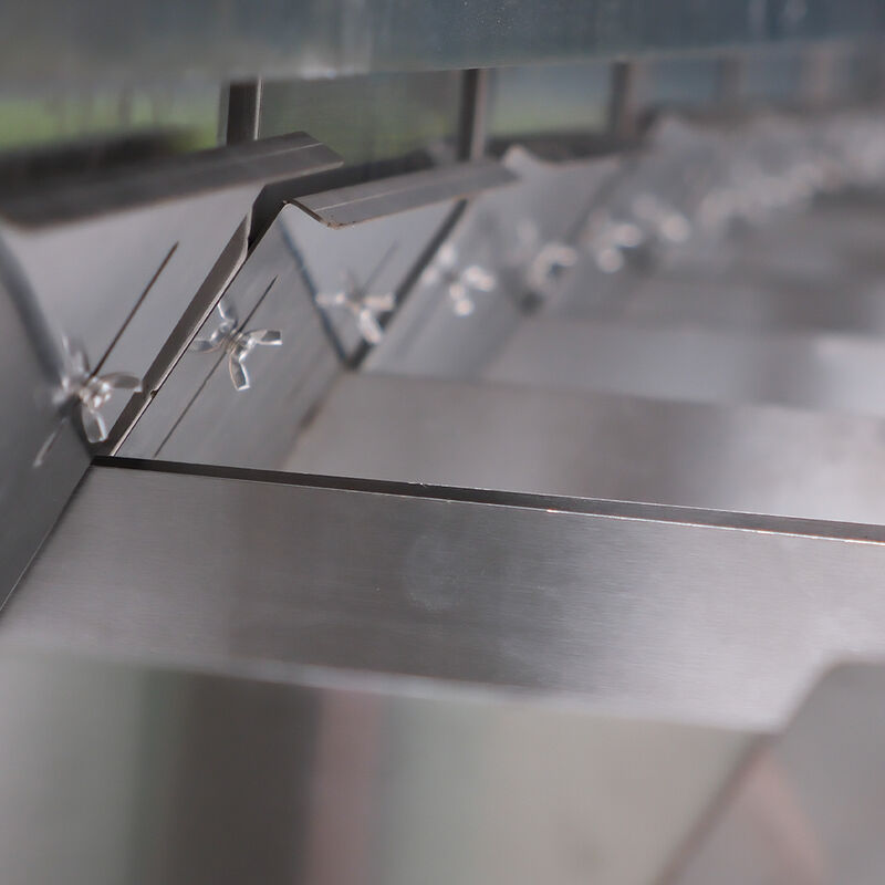 آلة تصنيف الألوان التلقائية للفول السوداني اللوز والجوز آلة تصنيف الألوان الذكية ذات الكفاءة العالية