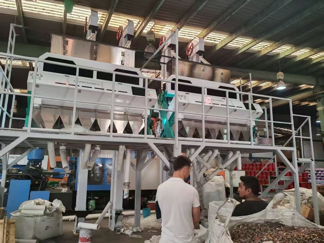 وينيو عالية التكنولوجيا متعددة الوظائف القمح القمح الشعير تصنيف اللون آلة تصنيف اللون