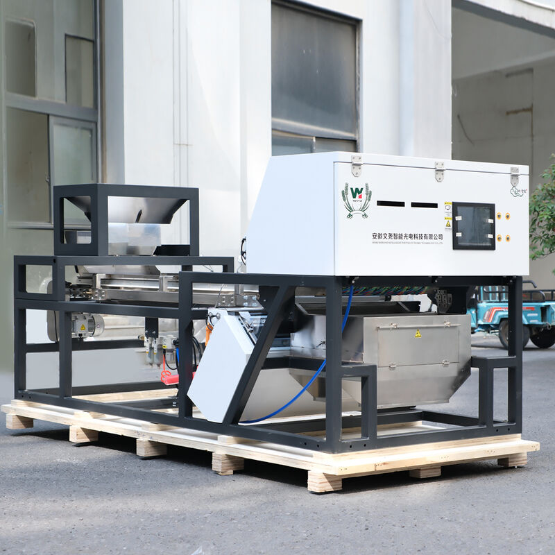 آلة تصنيف الألوان الذكية الثقيلة Wenyao مع كاميرا RGB CCD لفرز الثوم الفلفل والفلفل والفلفل والفلفل والفلفل والفلفل والفلفل والفلفل